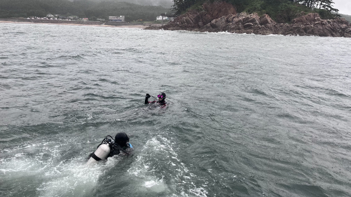 수색작업 중인 해경. 태안해경 제공