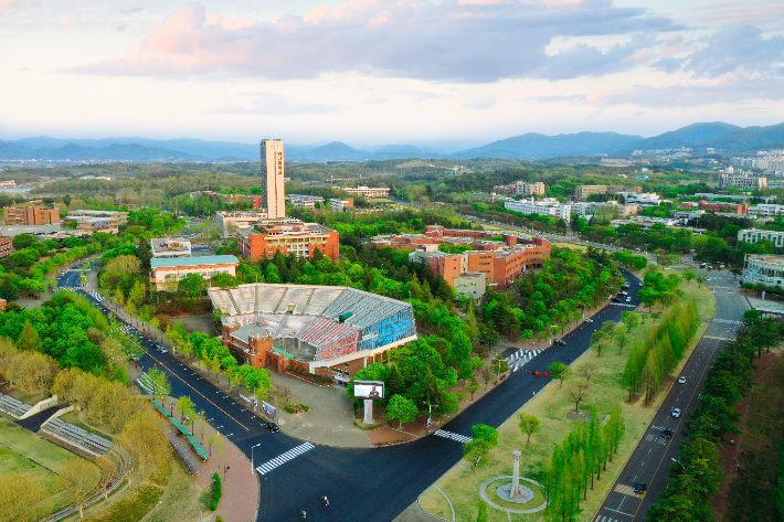 영남대학교 제공 