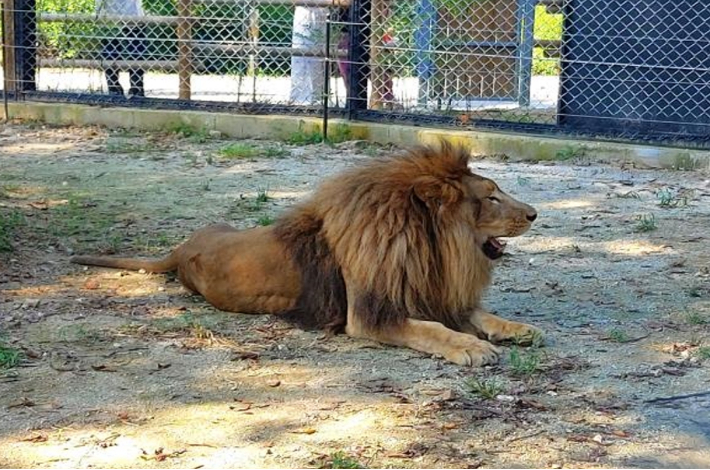 바람이.   청주시 제공