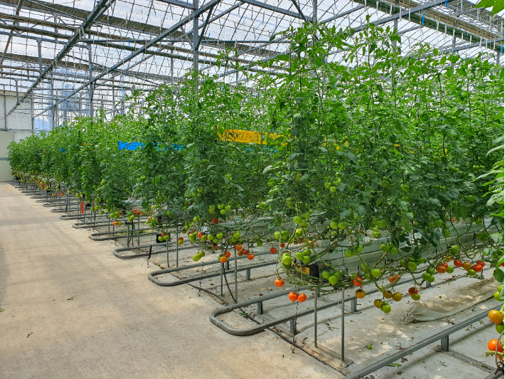 대동면 스마트팜. 김해시청 제공