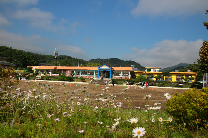단양 대가초 전경. 충북교육청 제공