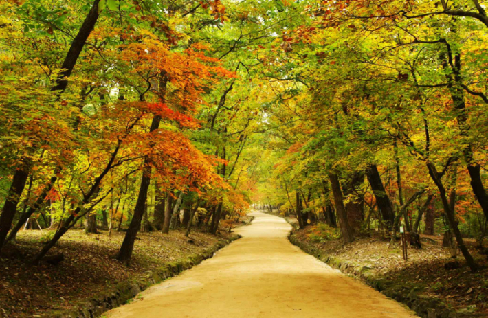 남양주 광릉. 문화재청 제공