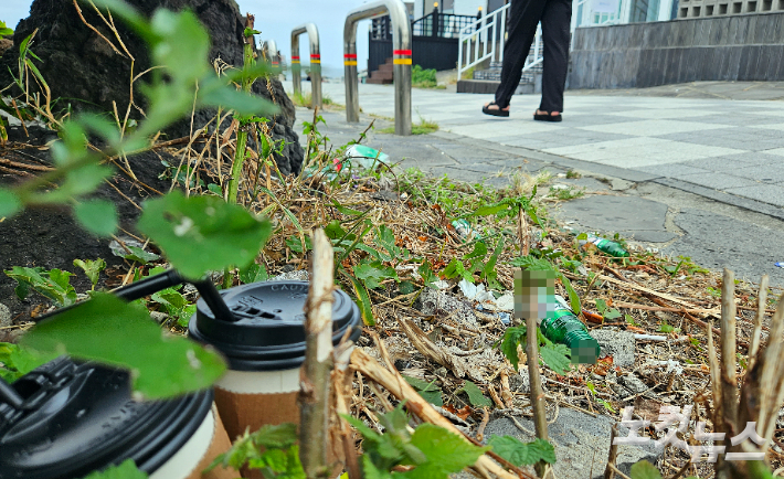 제주 한담해변. 길가에 쓰레기가 버려져 있다. 고상현 기자