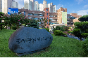 광주시교육청, 2024학년도 공립 중등학교 교사 등 임용시험 공고