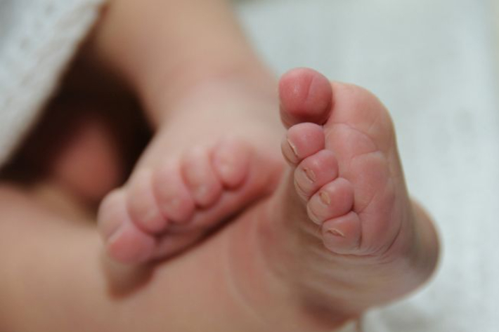 스마트이미지 제공