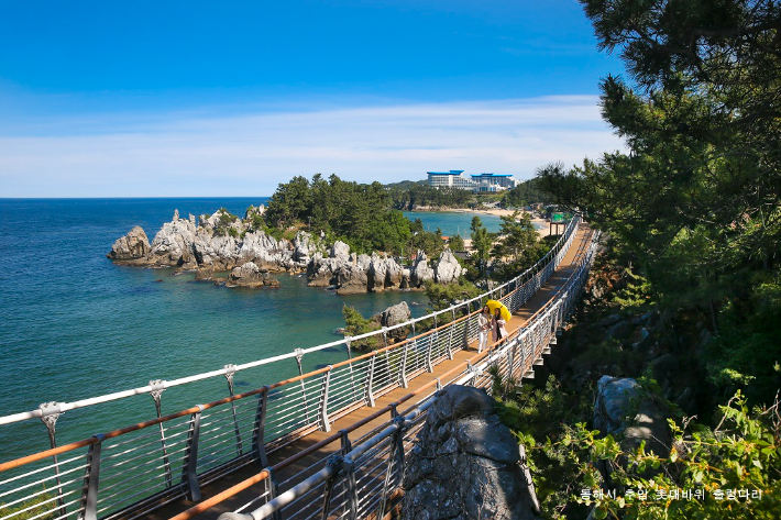 동해 추암 촛대바위 출렁다리. 동해시 제공