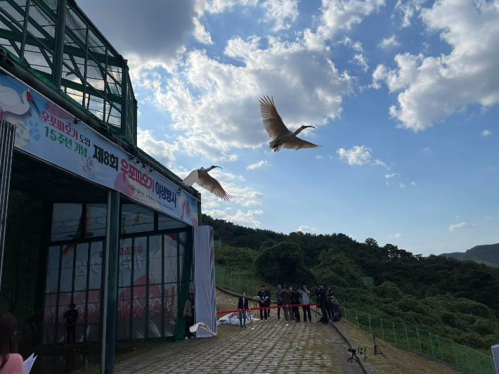 창녕 우포 따오기 자연 방상. 경남도청 제공 