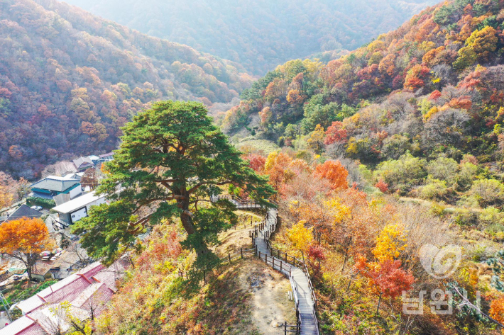 지리산 뱀사골. 남원시 제공