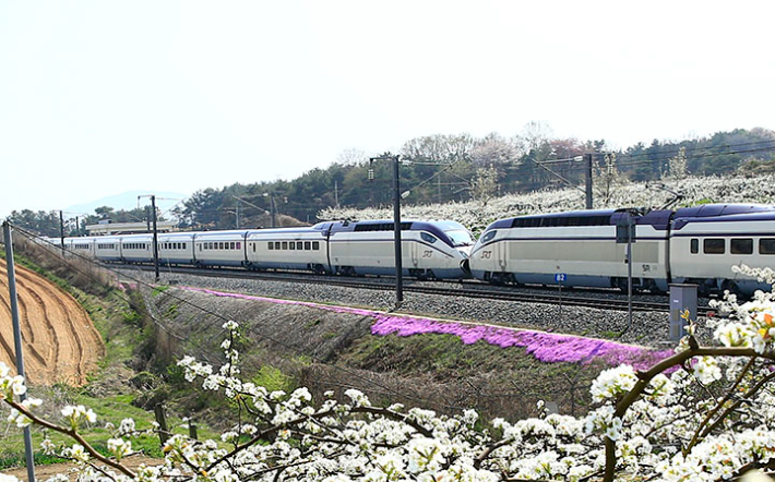SRT 열차. 연합뉴스