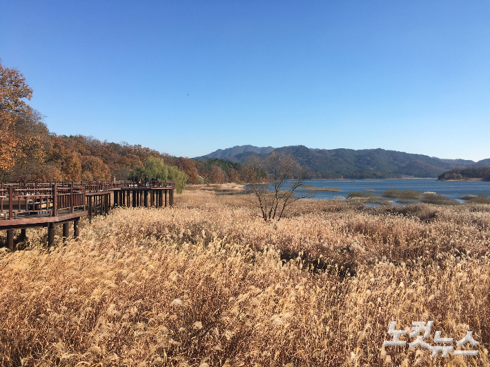 대전 대청호. 김유정 여행작가  