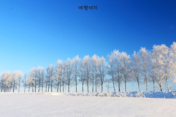 일본 삿포로의 모습. 여행이지 제공