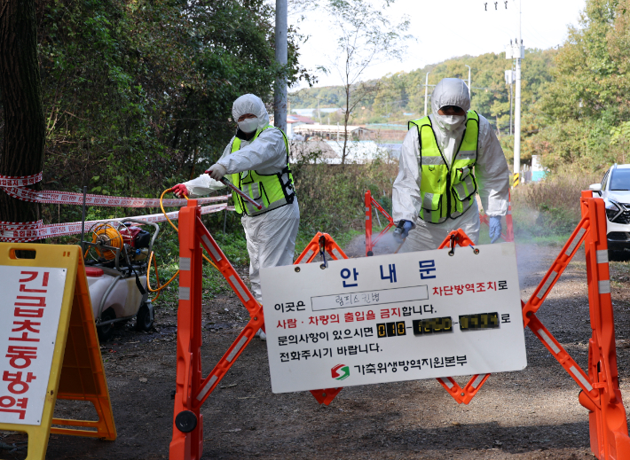 소 바이러스성 질병인 '럼피스킨병'(Lumpy Skin Disease)' 확진 사례가 나온 축산농가 주변에서 방역작업이 진행되고 있다. 연합뉴스