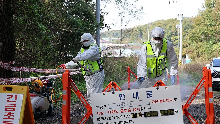 가축위생방역지원본부 관계자들이 지난 22일 '럼피스킨병' 확진 판정을 받은 경기도  김포시의 한 농가 주변에 방역 작업을 하는 모습. 연합뉴스