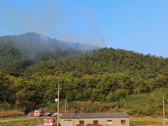 충남 서산 대산읍 야산 산불 현장. 산림청 제공