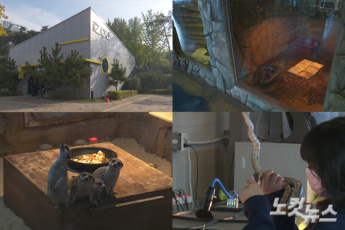 대경대학교 'DK the Zoo' 동물체험테마파크의 다양한 동물들과 상태를 확인하는 재학생. 노컷TV 영상 캡처