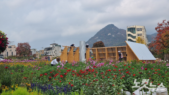 3일 오전 서울 종로구 열린송현 녹지광장 꽃밭에서 시민들이 사진을 찍고 있다. 양형욱 기자