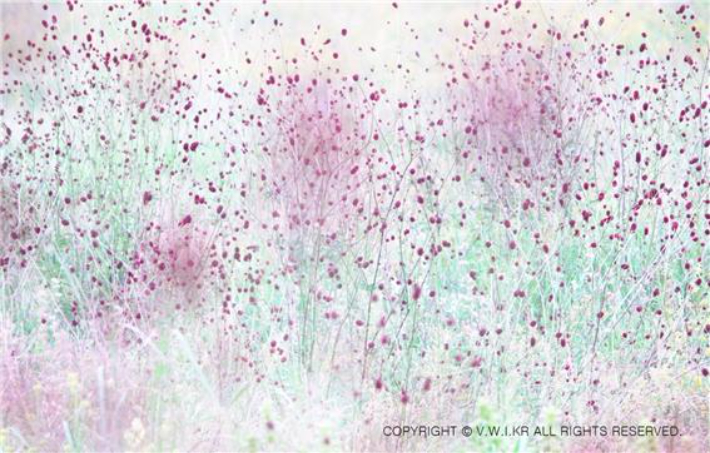 Visual Worship Institute 한국 지부 제공