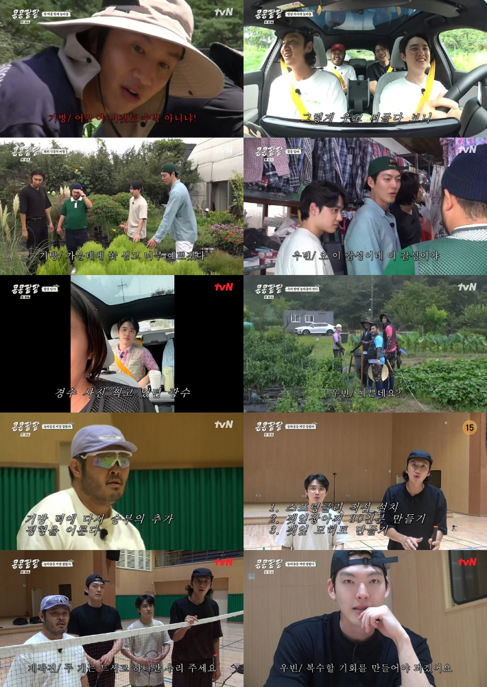 tvN '콩 심은 데 콩 나고 팥 심은 데 팥 난다' 영상 캡처