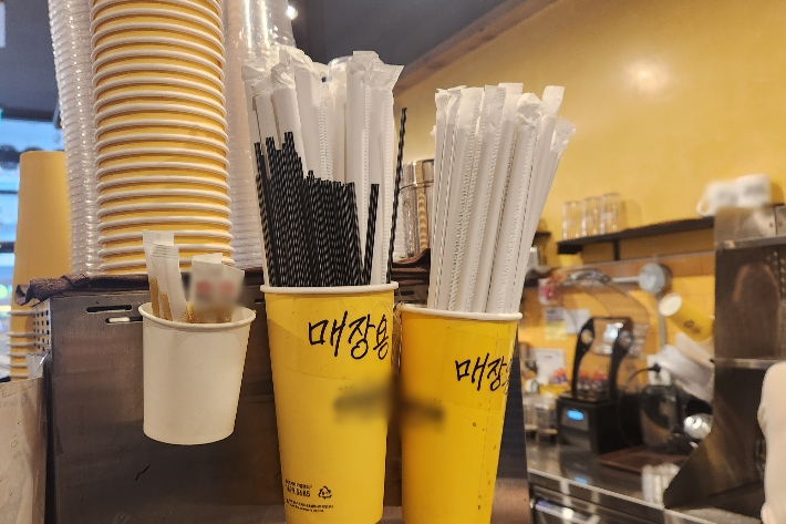 카페에 비치된 매장용 종이빨대. 연합뉴스 