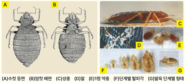 전교조 충남 