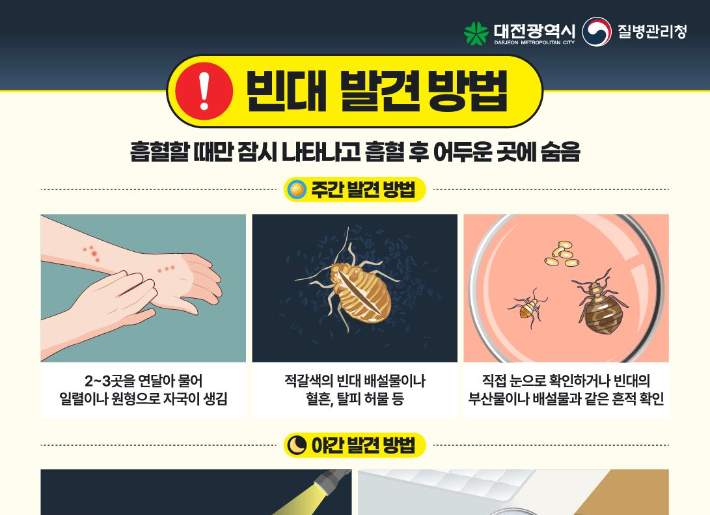 대전시 제공