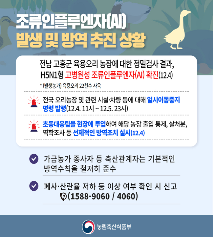 조류인플루엔자 발생 및 방역 추진 상황. 농림축산식품부 제공