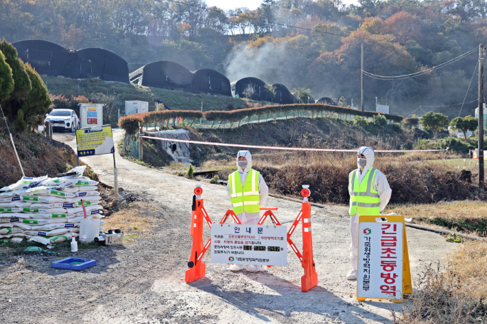 AI 확산 차단 현장. 고흥군 제공