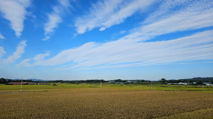 유기농 생태마을로 선정된 영암군 송내외 마을 모습. 전라남도 제공
