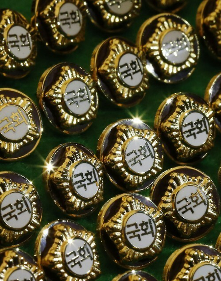 국회의원 금배지. 연합뉴스 제공