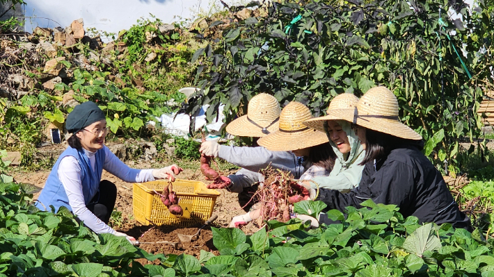 강진군 문화관광재단 프로그램 모습. 전라남도 제공