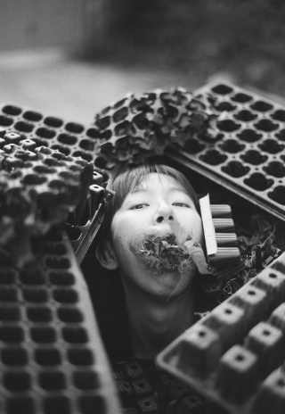 작품 '새싹의 툇자리, 고향'. 한진희 제공 