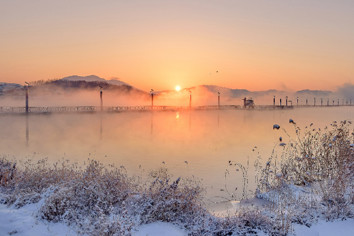 충북도 제공