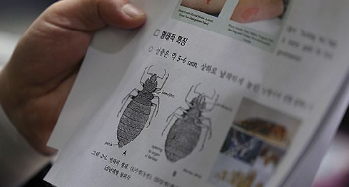 "직접 피 내주며 빈대 연구"…외신, 韓 '흡혈곤충 대모' 조명