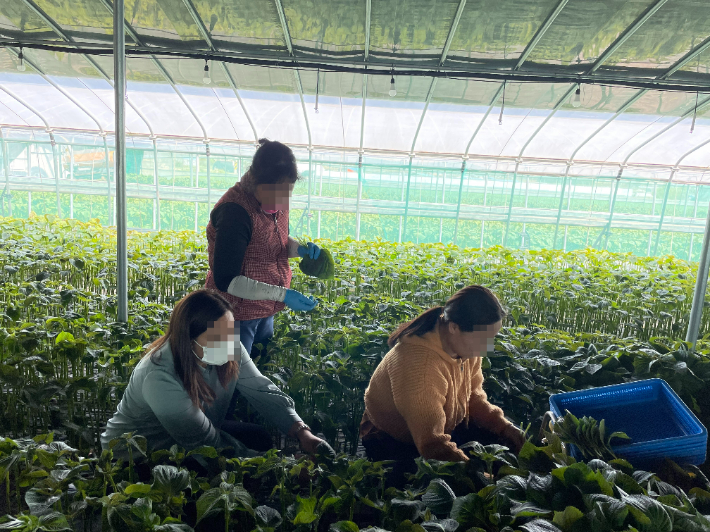 농촌 공공인력. 경남도청 제공 