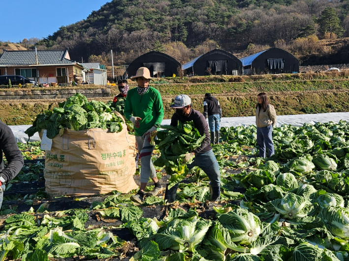 괴산군 제공