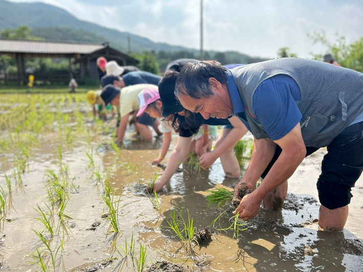 괴산군 제공