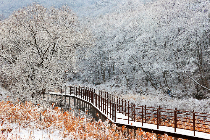 화양동계곡. 괴산군 제공