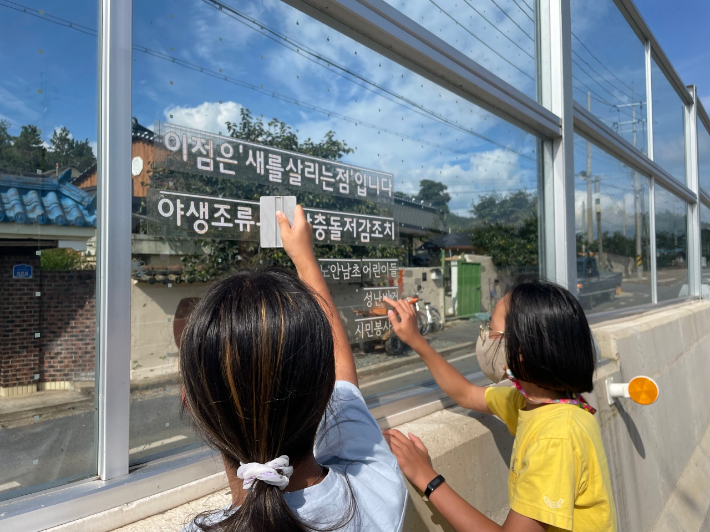 전남 노안남초 학생들이 야생 조류가 투명방음벽에 부딪히는 것을 방지하기 위해 '새를 살리는 점'을 붙이고 있다. 전라남도교육청 제공