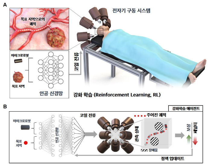 연구성과 개요도. 한국연구재단 제공