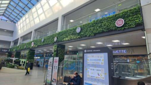 부산종합버스터미널에 실내정원이 조성됐다. 부산시 제공