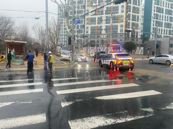 대구 서구청 제공 