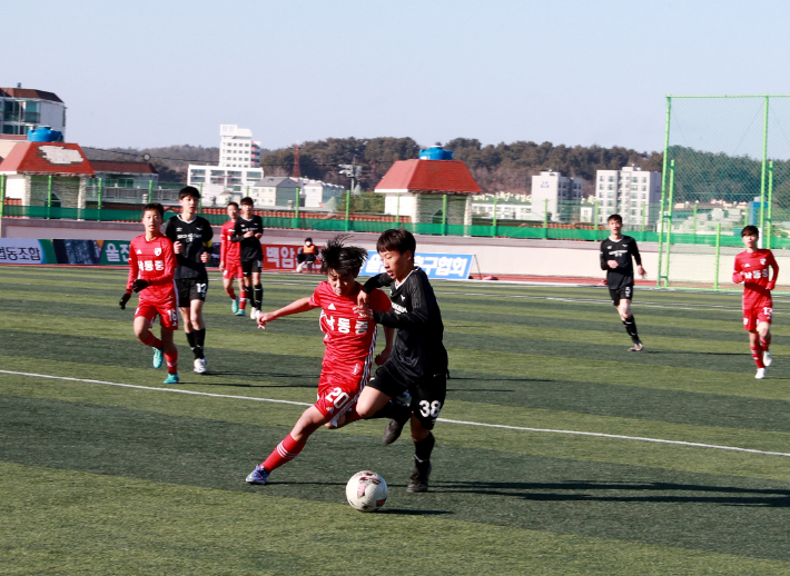 지난해 열린 울진 금강송 춘계 중등 U-15 축구대회 모습. 울진군 제공