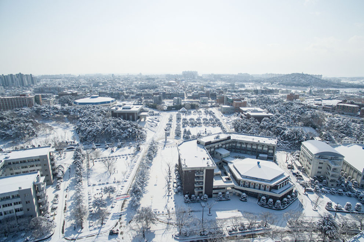 원광대학교 전경. 원광대학교 제공