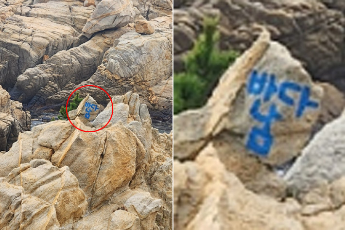 지난 1월 3일 대왕암공원 내 암석에 파란색 스프레이로 '바다남' 이라고 쓰인 글씨가 발견됐다. 울산 동구청 제공 