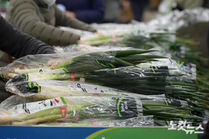 대파 가격 지난해 설보다 60% 올라