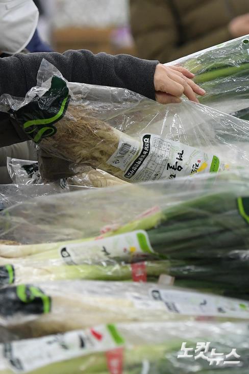 대파 지난해 설보다 60% 올라