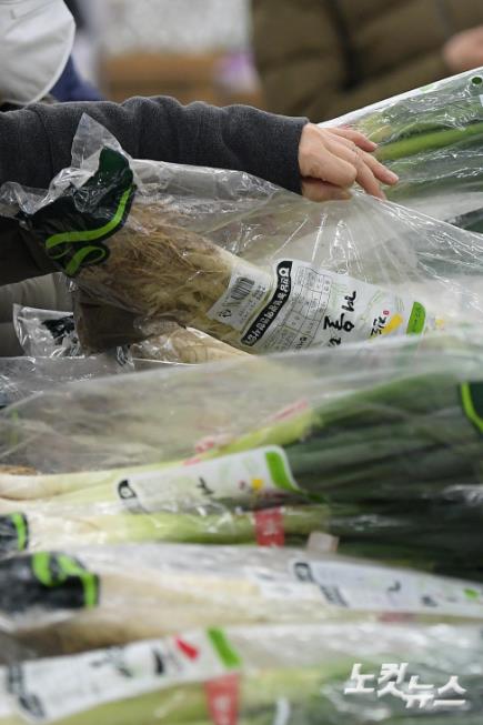 대파 지난해 설보다 60% 올라