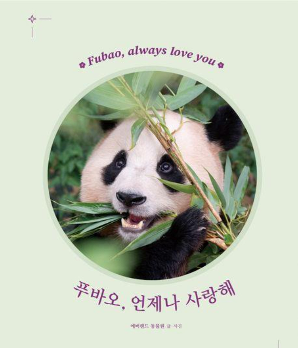 시공주니어 제공 