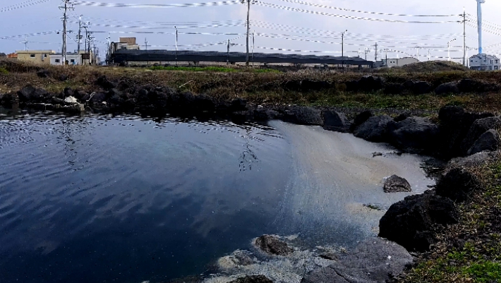 제주시 구좌읍 모 양식장 배출수로 오염된 인근 바다. 류도성 아나운서