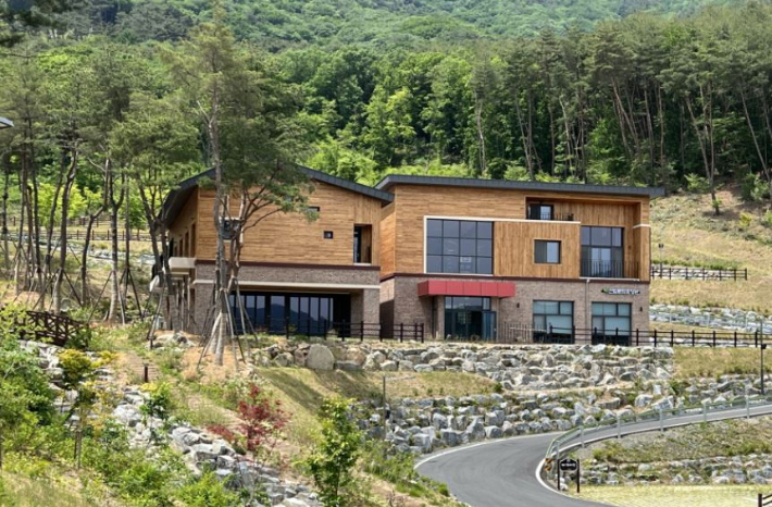 청도 자연휴양림. 경북도 제공